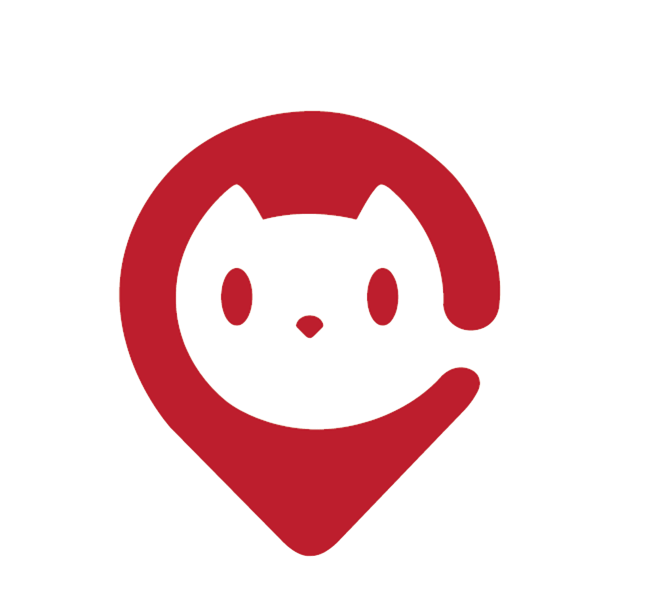 ZonaTa – Povestea noastră